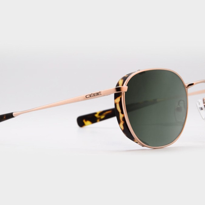 TEDDY WINNER TEDDY WINNER